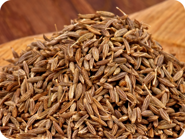 Black and Brown Mustard Seeds Details