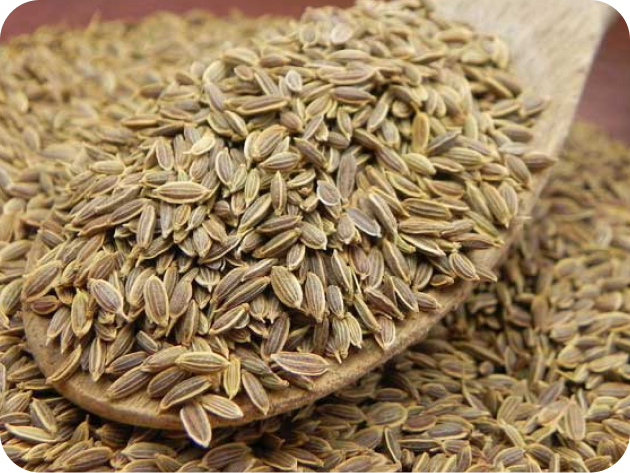 Dill Seeds