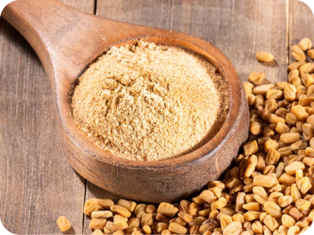 Fenugreek Powder